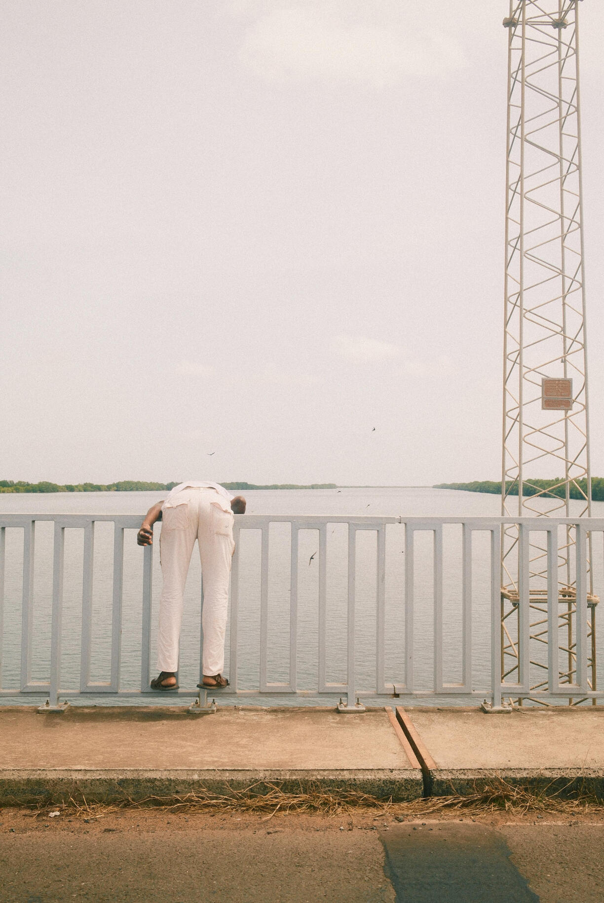 Untitled Untitled