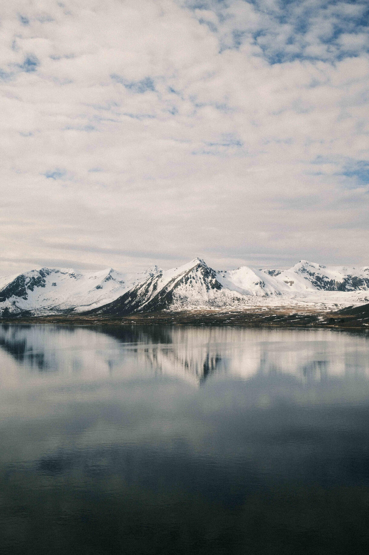 Untitled Untitled